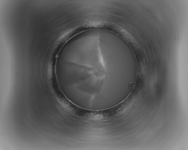 X0000110320640200905211527