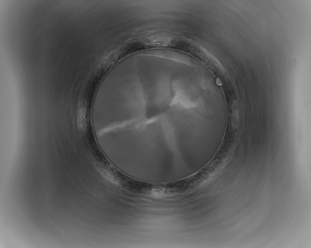 X0000110320641200905211527