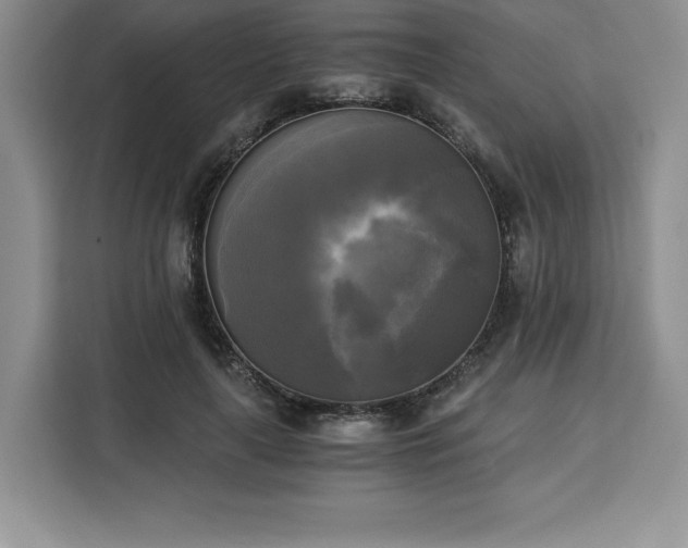X0000110320643200905211527