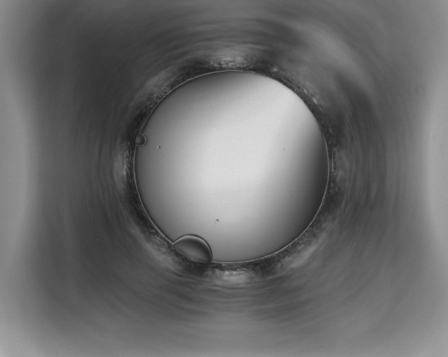 X0000110320645200905211527