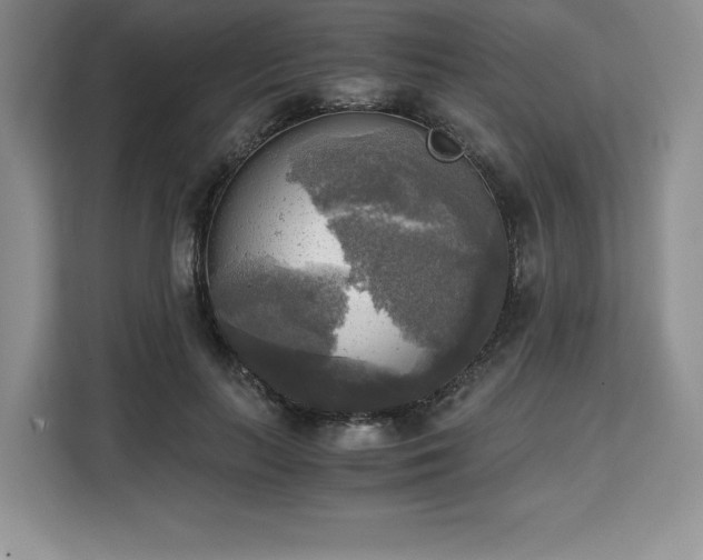 X0000110320647200905211527