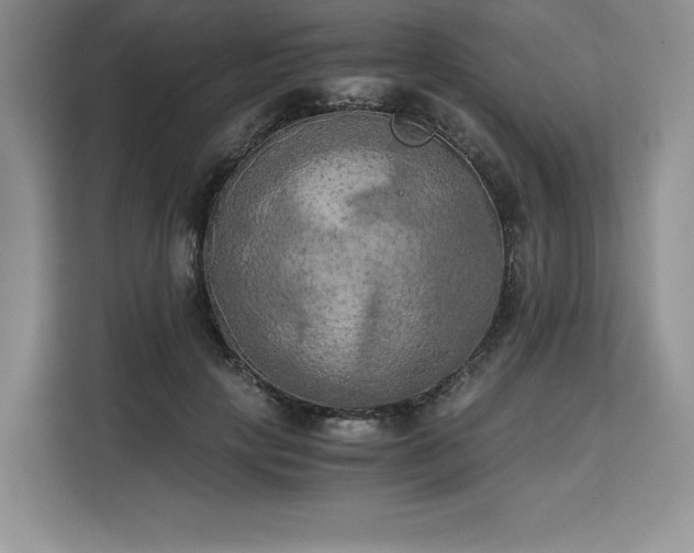 X0000110320649200905211527