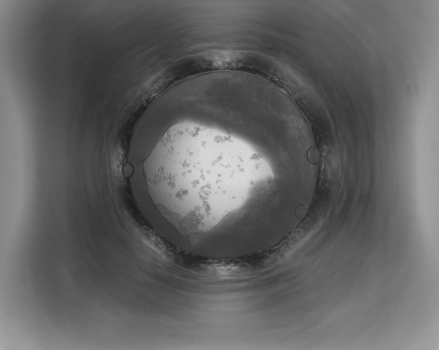 X0000110320650200905211527