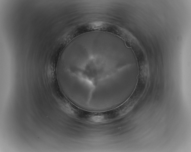X0000110320653200905211527