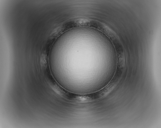 X0000110320654200905211527
