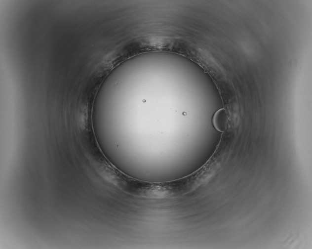 X0000110320656200905211527