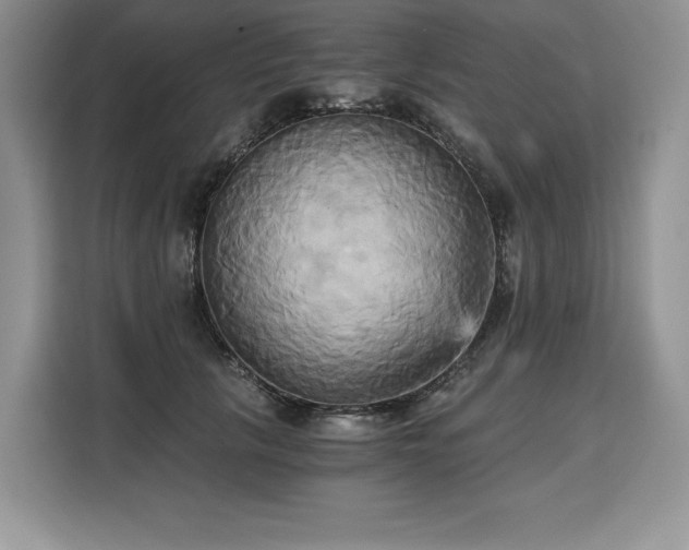 X0000110320657200905211527