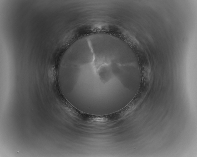 X0000110320659200905211527