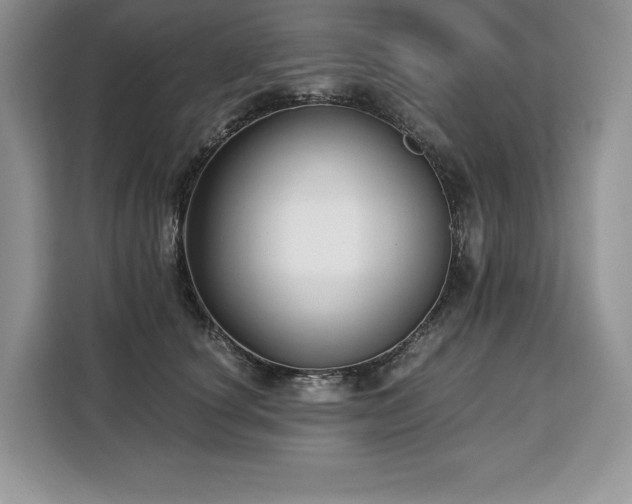 X0000110320660200905211527