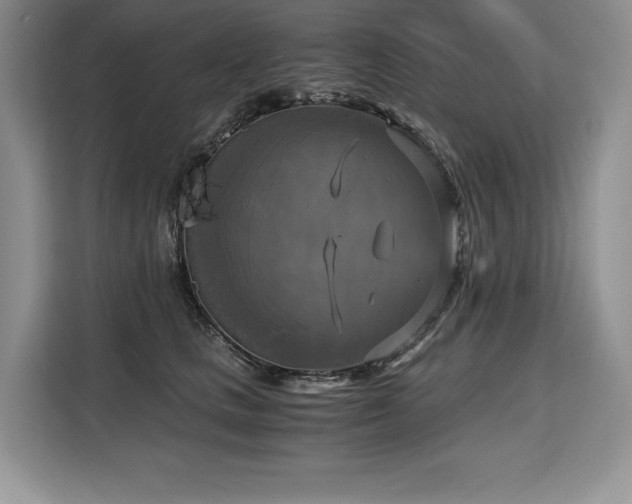 X0000110320661200905211527