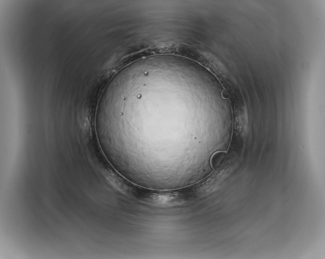 X0000110320662200905211527