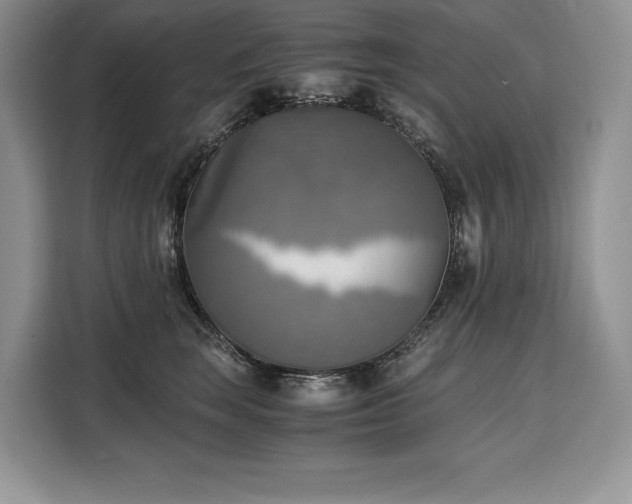 X0000110320663200905211527
