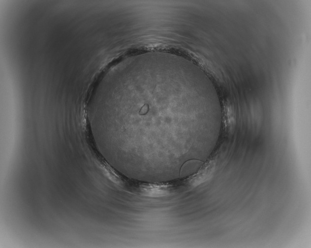 X0000110320664200905211527