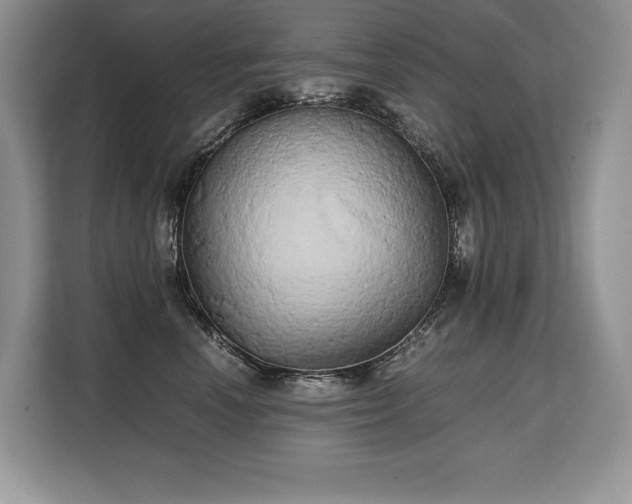 X0000110320666200905211527
