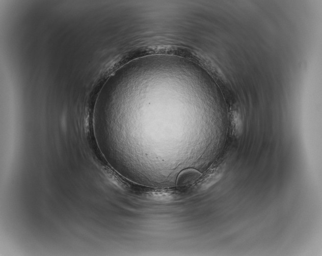 X0000110320668200905211527