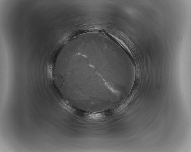 X0000110320669200905211527
