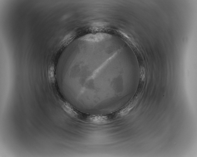 X0000110320670200905211527