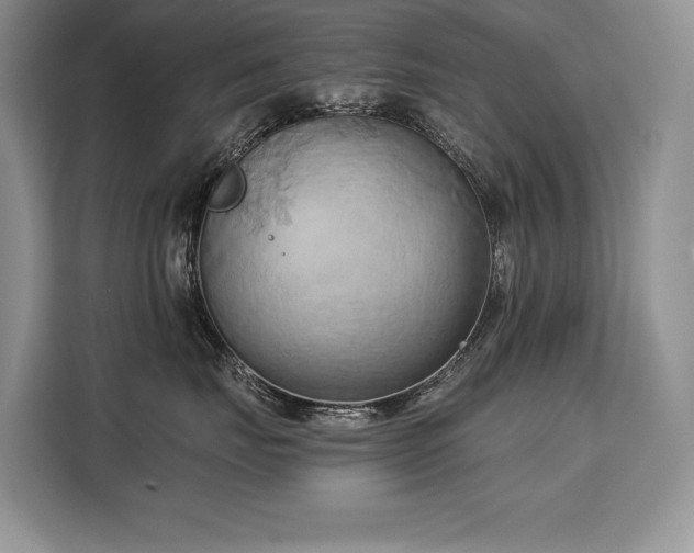 X0000110320671200905211527