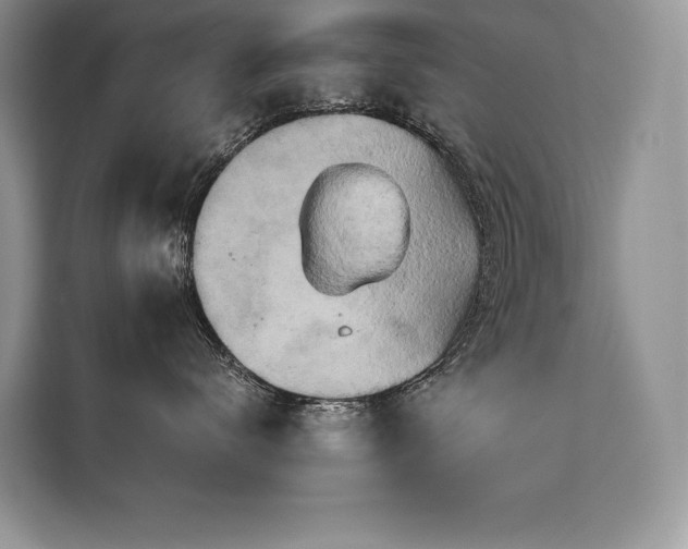 X0000110320672200905211527