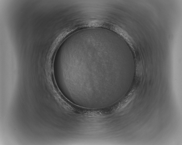 X0000110320673200905211527