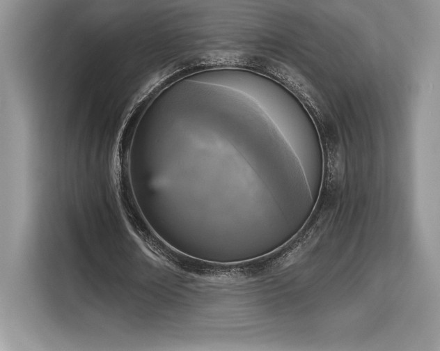 X0000110320674200905211527