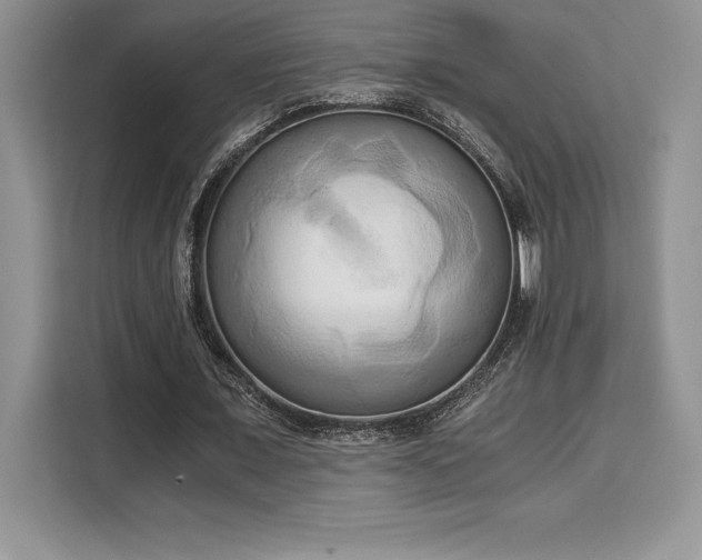X0000110320675200905211527
