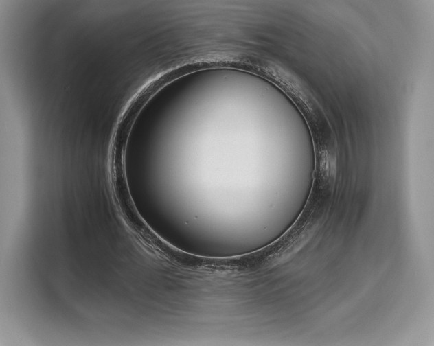 X0000110320676200905211527