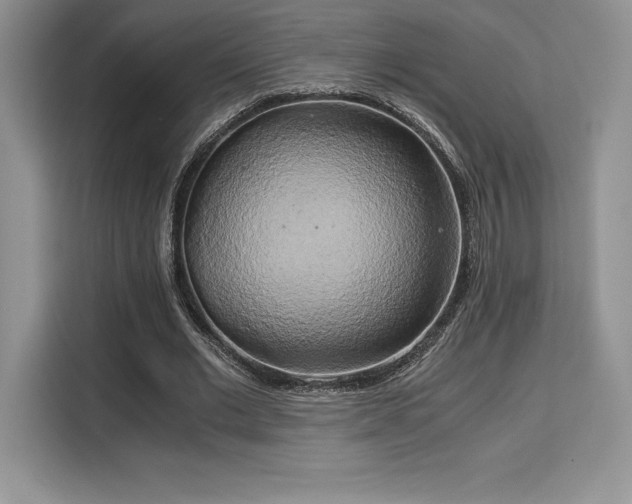 X0000110320677200905211527