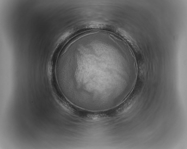 X0000110320679200905211527