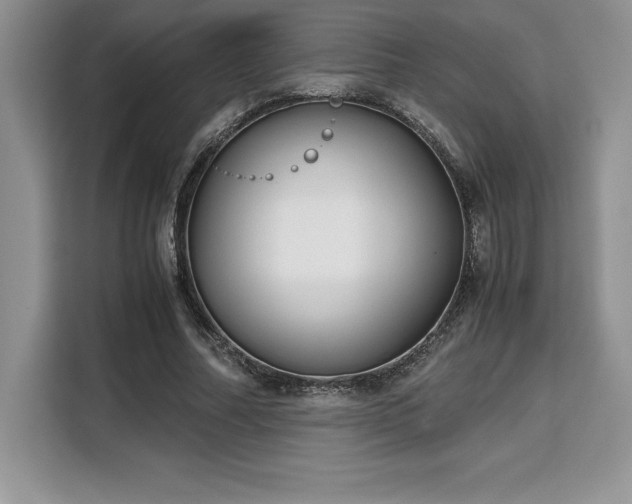 X0000110320682200905211527