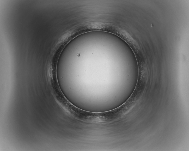 X0000110320683200905211527