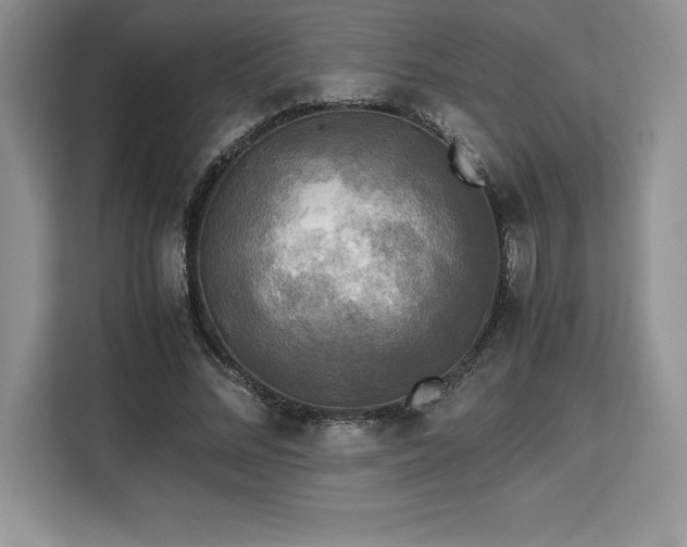 X0000110320684200905211527