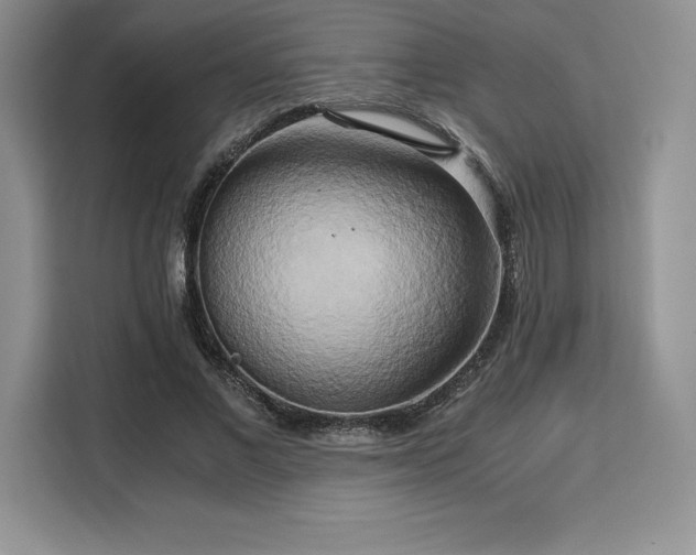 X0000110320685200905211527