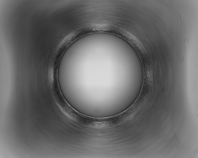 X0000110320686200905211527