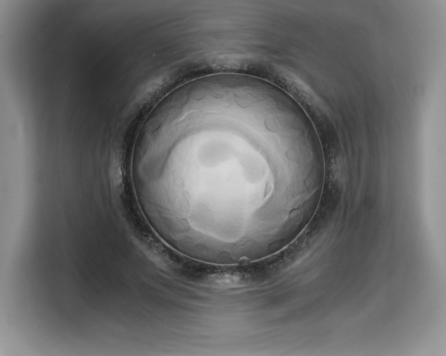 X0000110320687200905211527