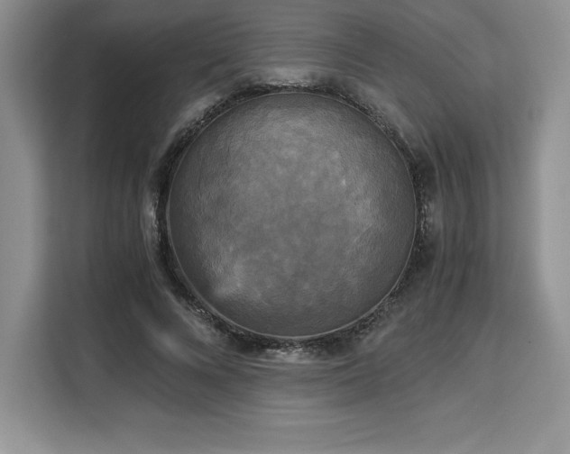 X0000110320688200905211527