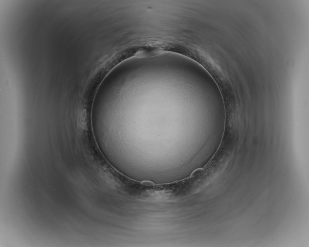 X0000110320689200905211527