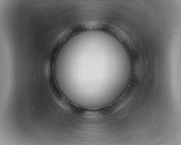 X0000110320690200905211527