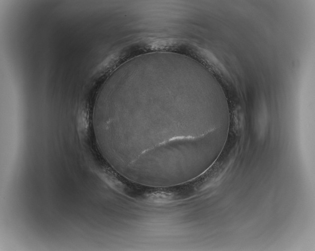 X0000110320691200905211527