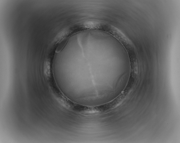 X0000110320696200905211526