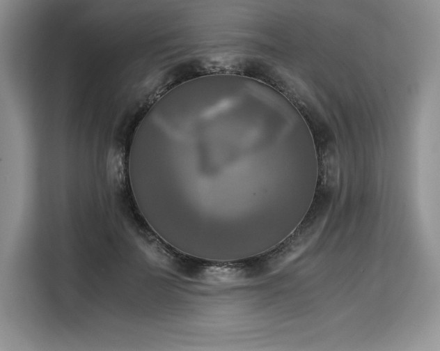 X0000110320699200905211526