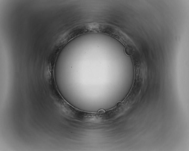X0000110320702200905211526