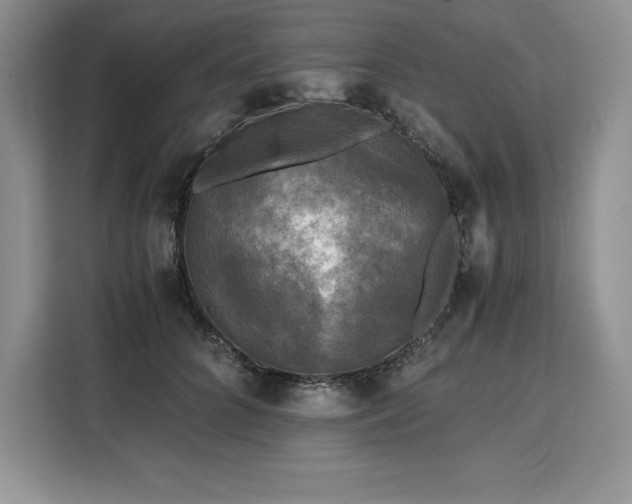 X0000110320704200905211526