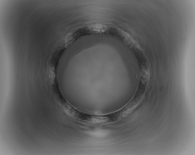 X0000110320707200905211526