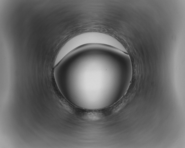 X0000110320708200905211526