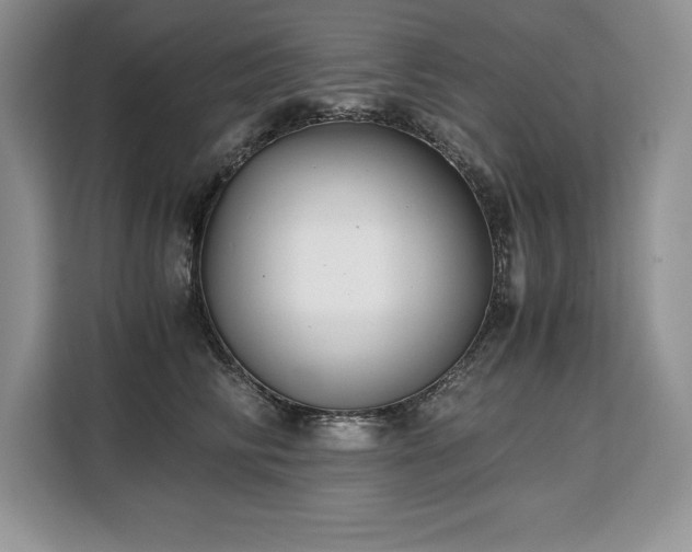 X0000110320710200905211526