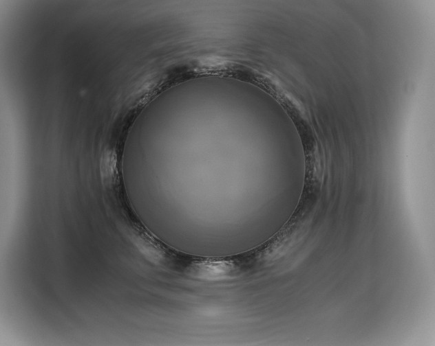 X0000110320711200905211526