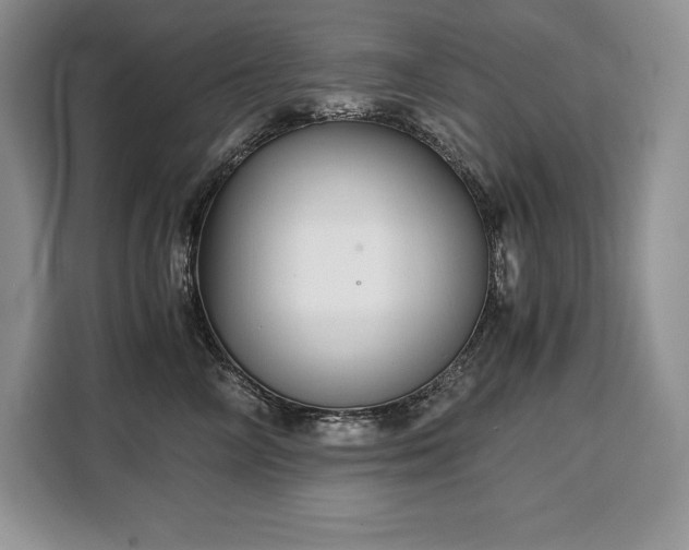 X0000110320714200905211526