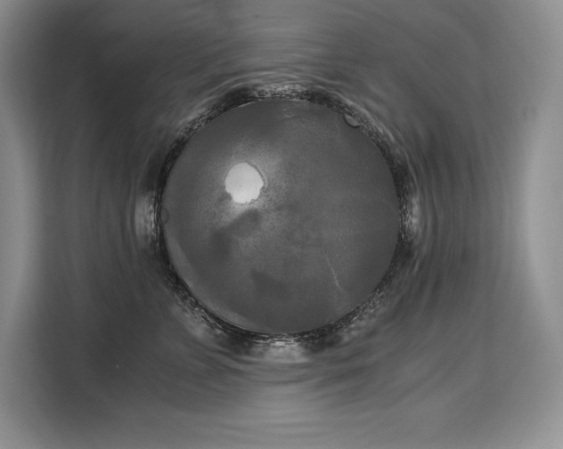 X0000110320715200905211526
