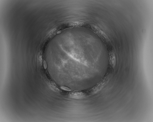 X0000110320716200905211526